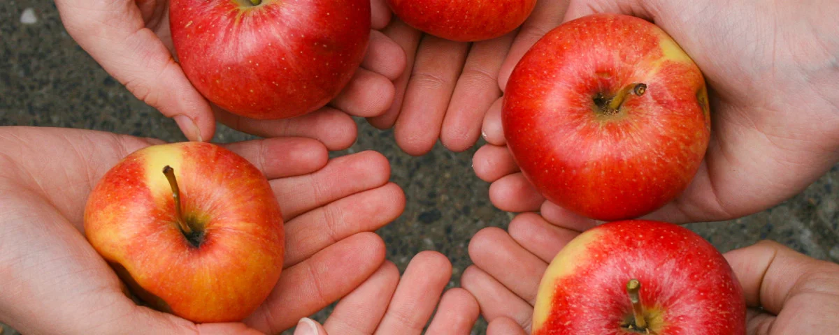 Hände und Äpfel